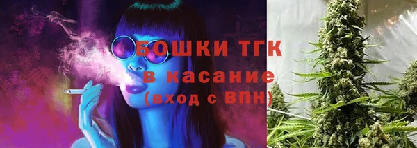 винт Аркадак