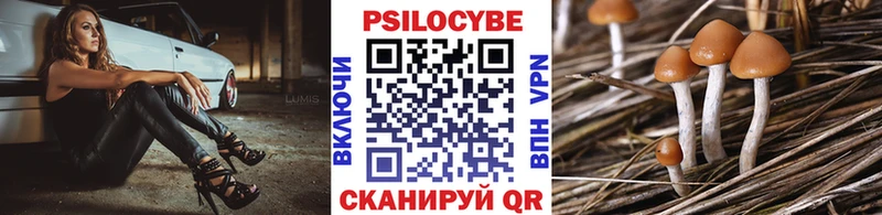 даркнет сайт  Пучеж  Псилоцибиновые грибы Cubensis 